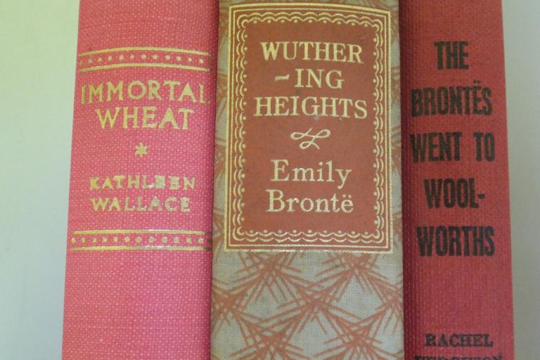 Books relating to the Brontes