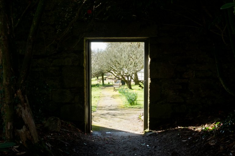 door opening on to a garden