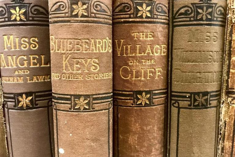 Decorative spines of volumes in Chris Brooks Special Collection