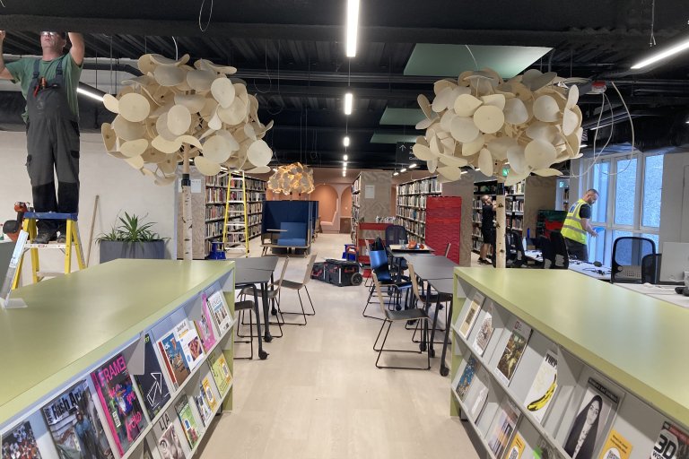 library journals shelving