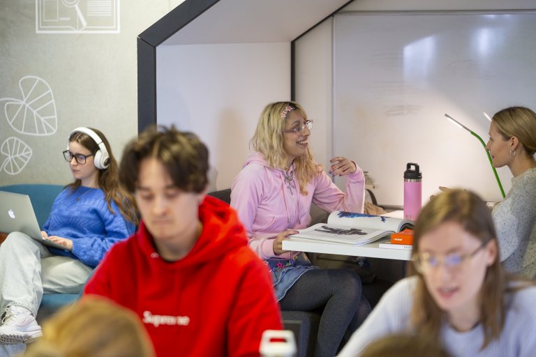 Students working in the library